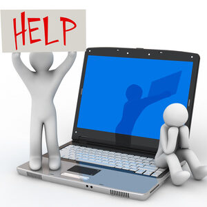 Services Professionnels